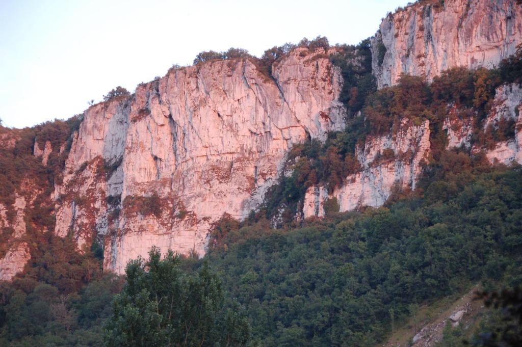 Auberge Lion D'Or Saint-Antonin Buitenkant foto